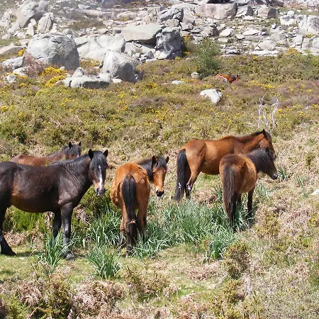 Hébergement de vacances Casa Montanha Geres Campo do Geres