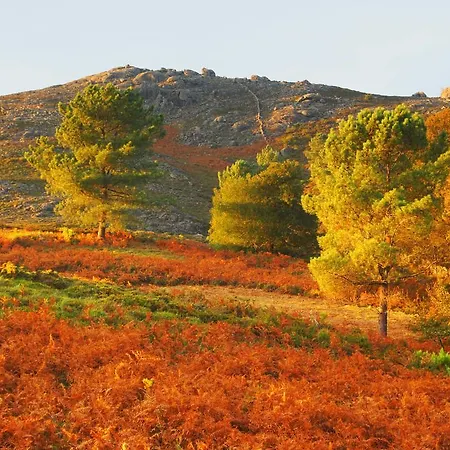 Hébergement de vacances Casa Montanha Geres Campo do Geres